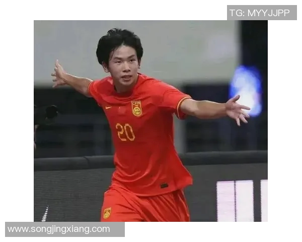 中国足球市场新宠被看上的国际明星球员们的崛起与影响